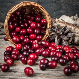 Cranberry Wisdom
