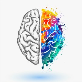 Nutrition and Brain Health