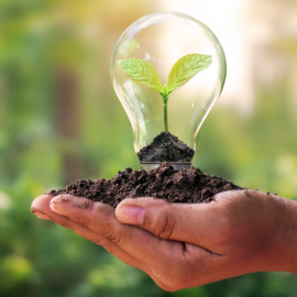 Easy Swaps to Save Money and Our Planet