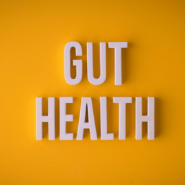 The Gut – “Our Second Brain”