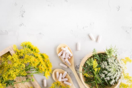 Supplements for Immune Health