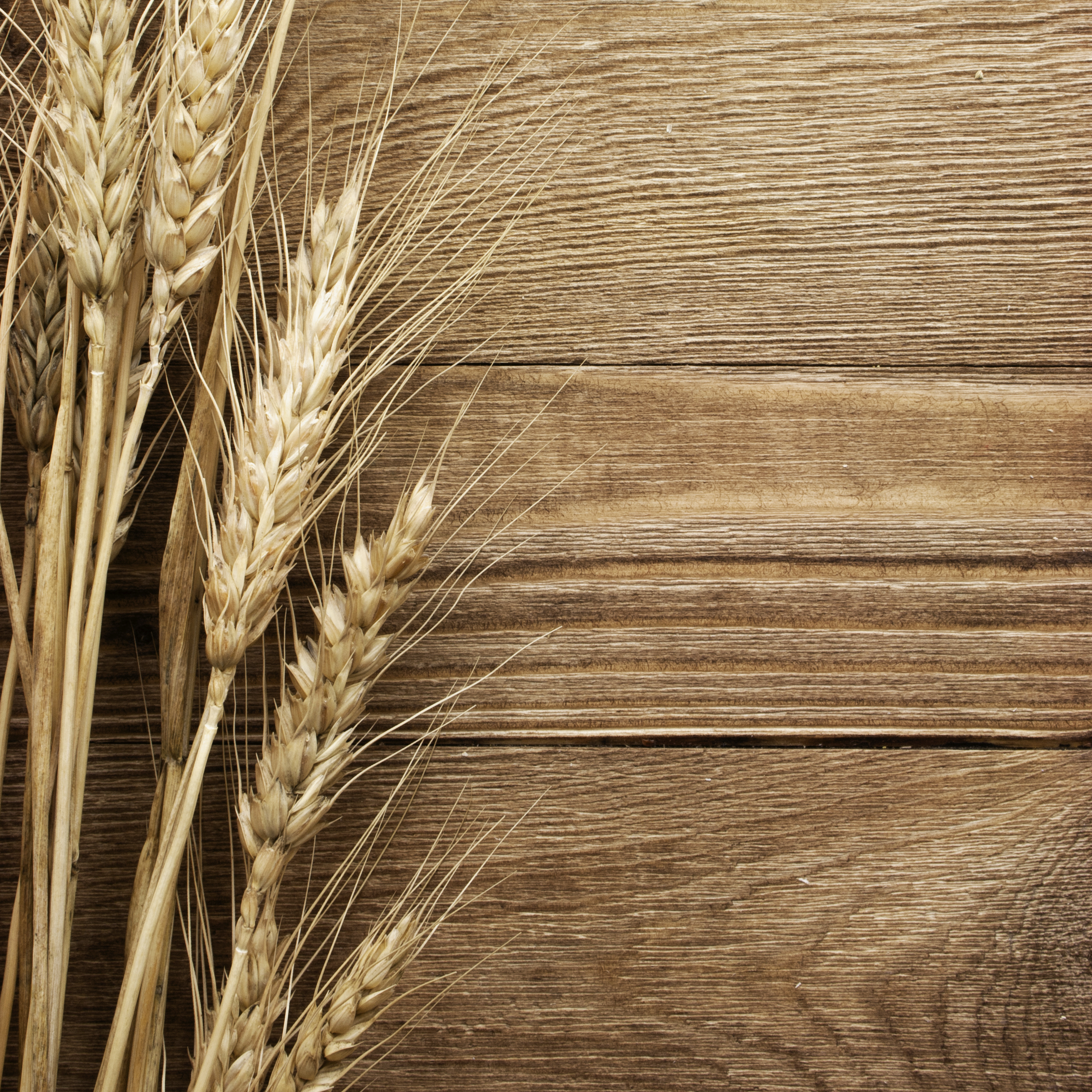 Healthy Habits: All About Carbs