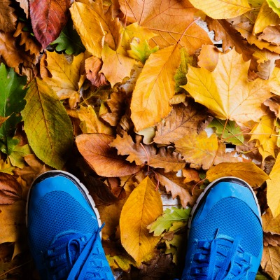 Fall into Fitness