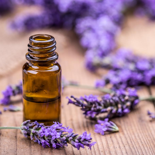 All About Aromatherapy