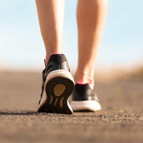 A Beginner's Guide to Exercise