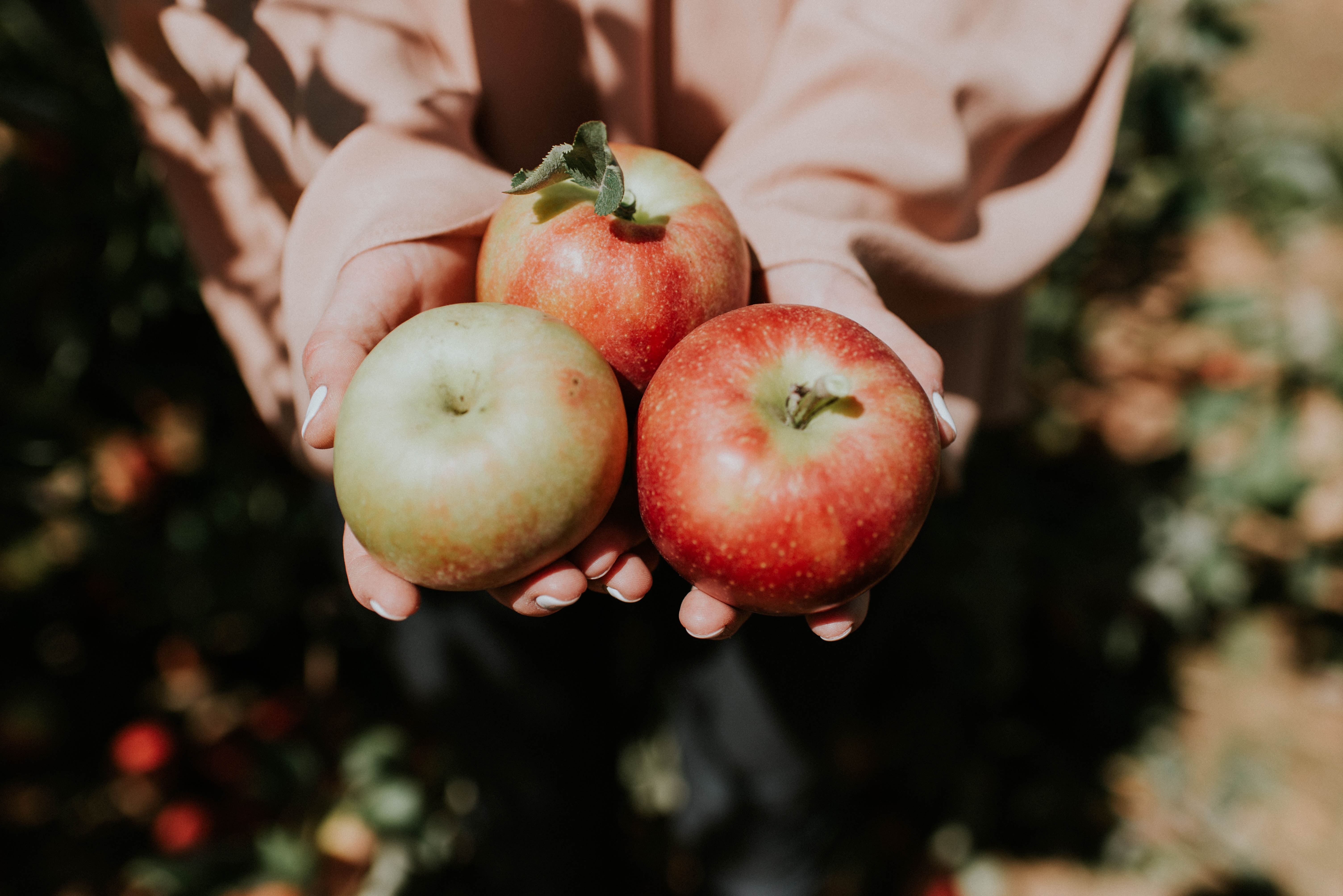 Fall Activities For The Whole Family