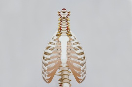 Osteoporosis - Take The Quiz!