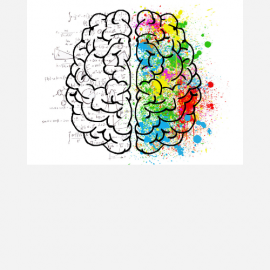 Brain Games
